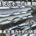 保護中: 浅海・青物釣り研究レポート